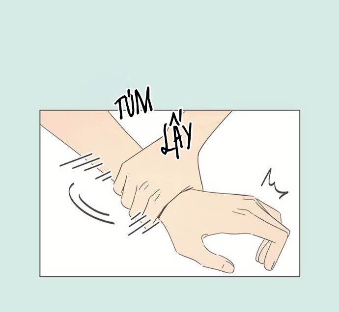 thanh xuân rực rỡ - season of blossom chapter 41 43