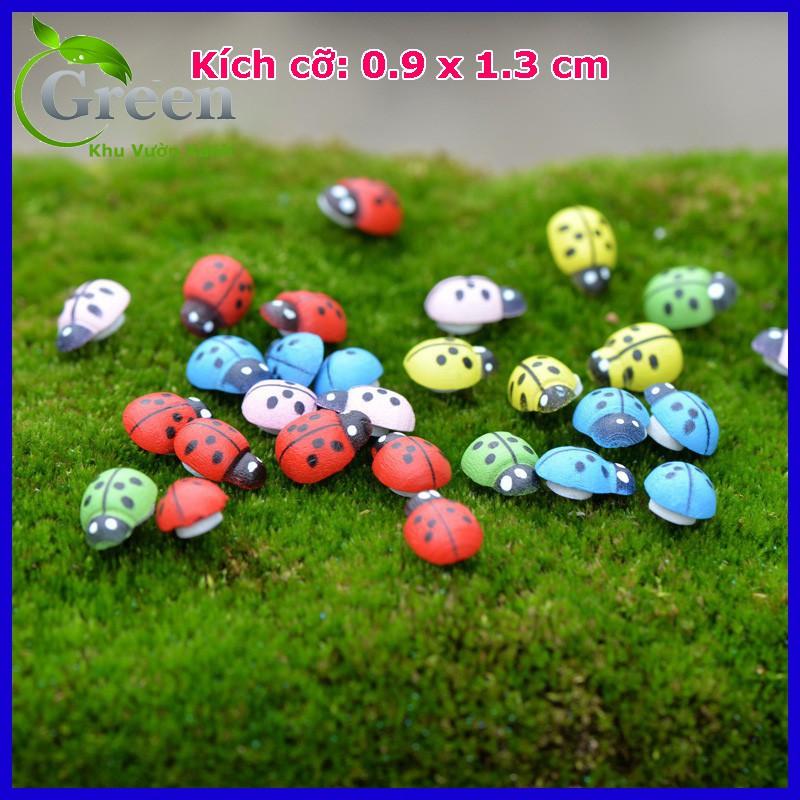 Combo 20 Con Bọ Rùa Mini Nhiều Màu Sắc Dùng Trang Trí Cây Cảnh