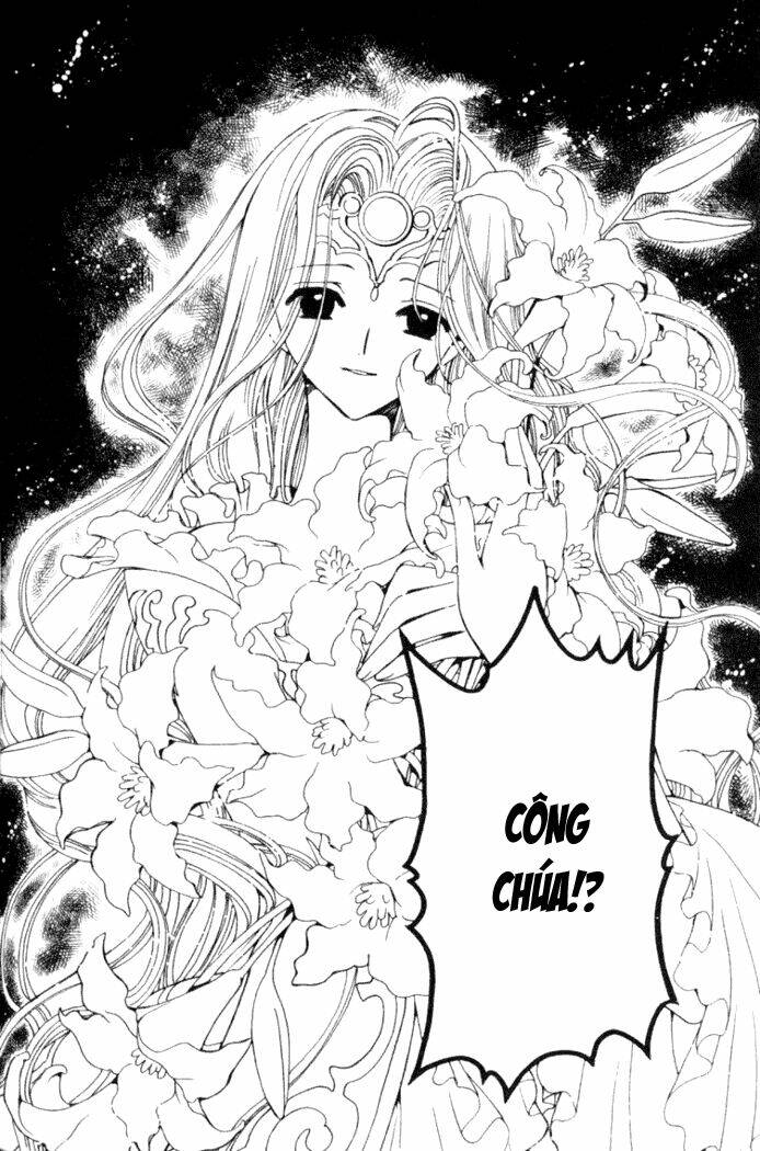 huyền thoại đôi cánh chapter 28 22