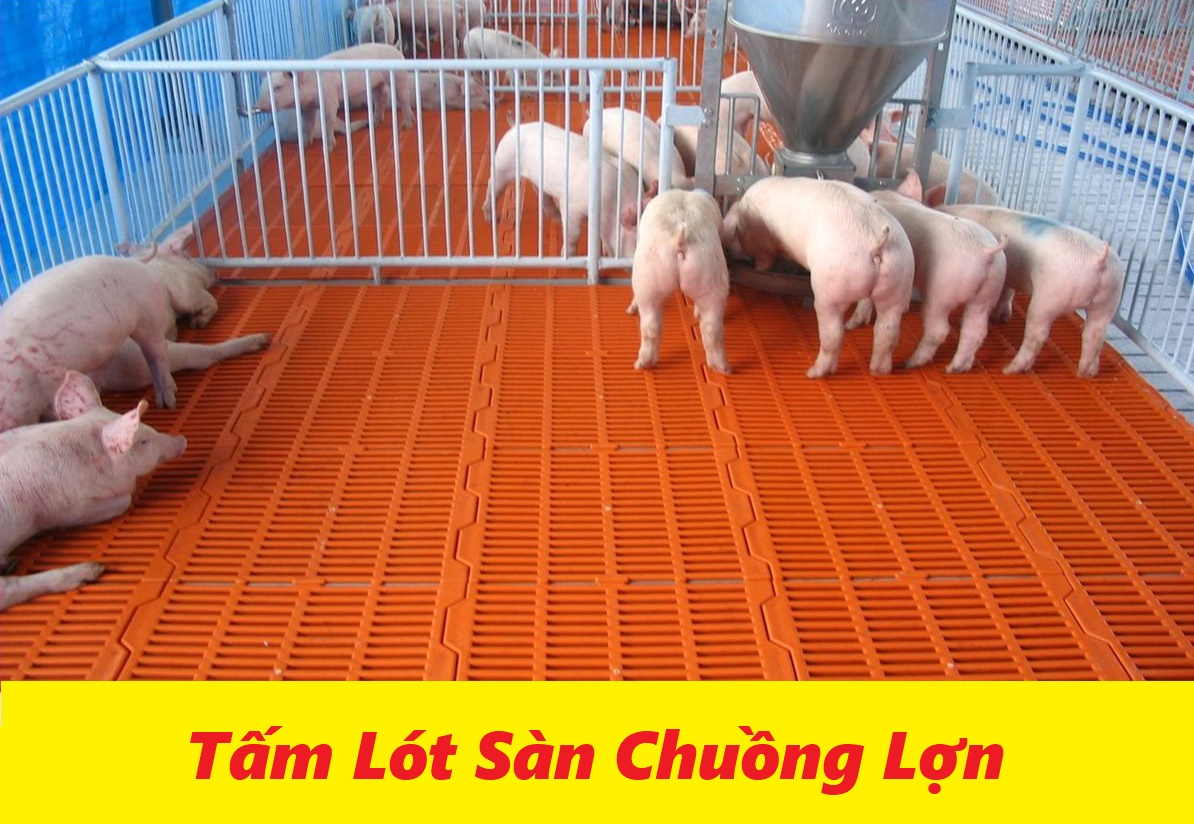 Tấm nhựa lót sàn chuồng chó chuồng heo (3 size)