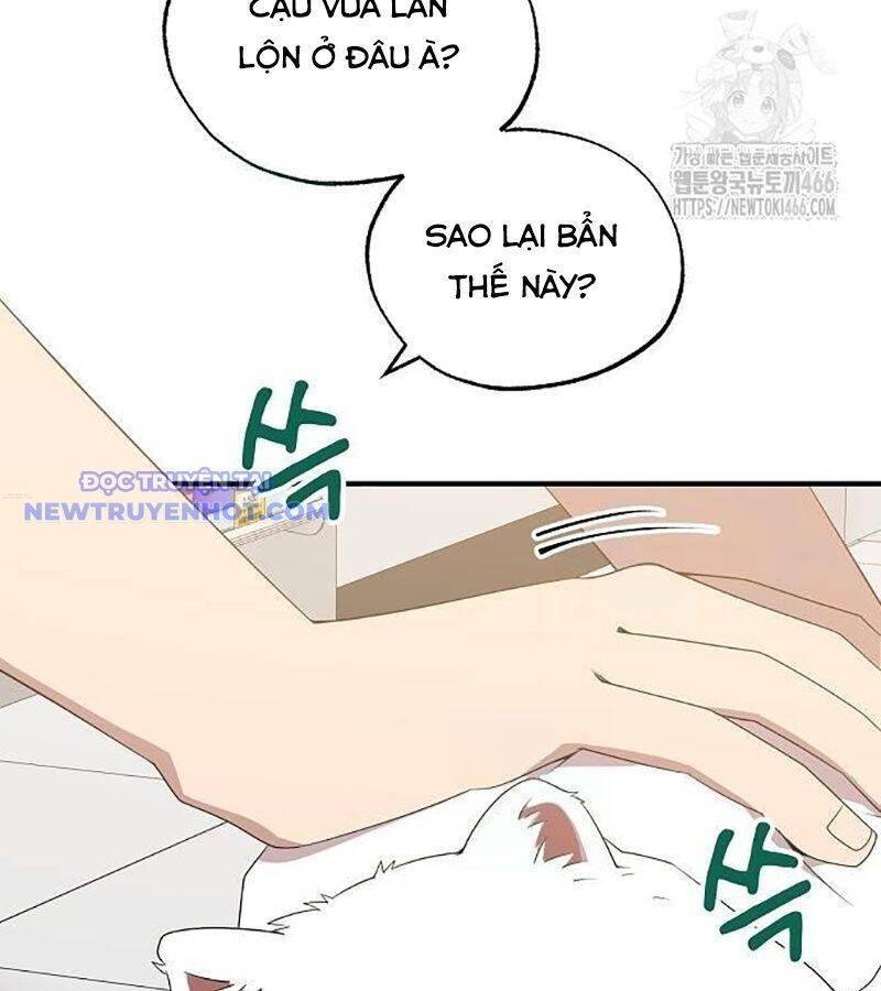 cửa hàng diệu kỳ chapter 47 55