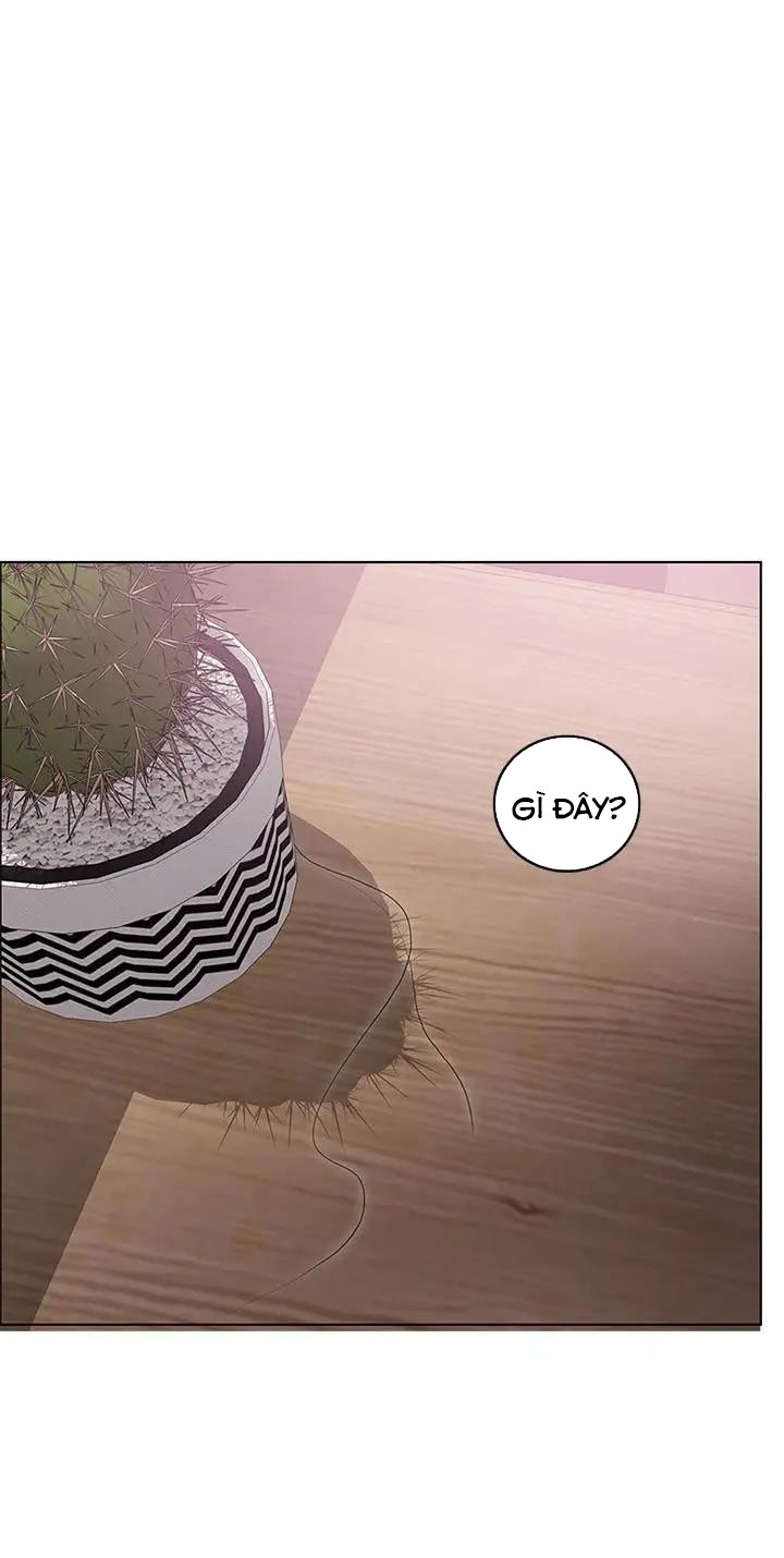 bể bơi ướt át chapter 20 15