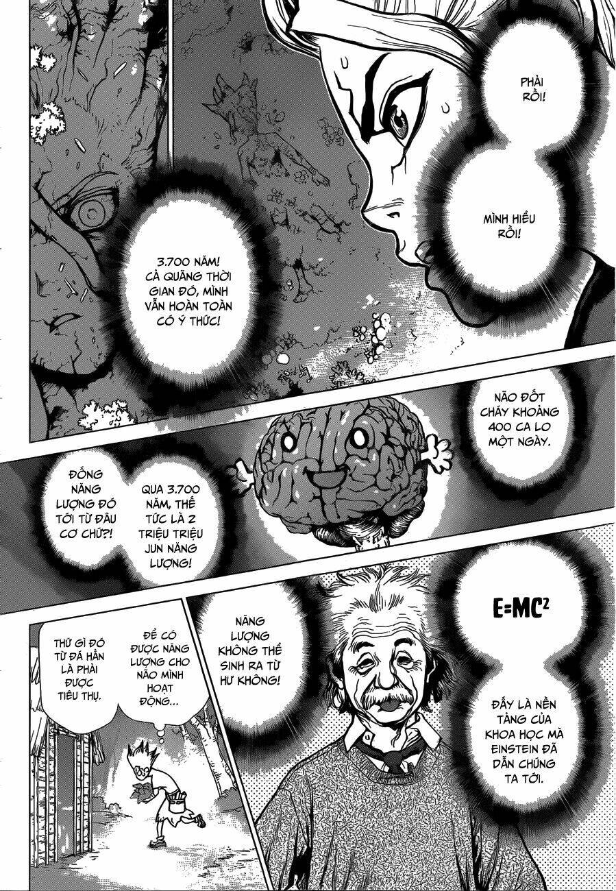 dr.stone - hồi sinh thế giới chapter 14 13