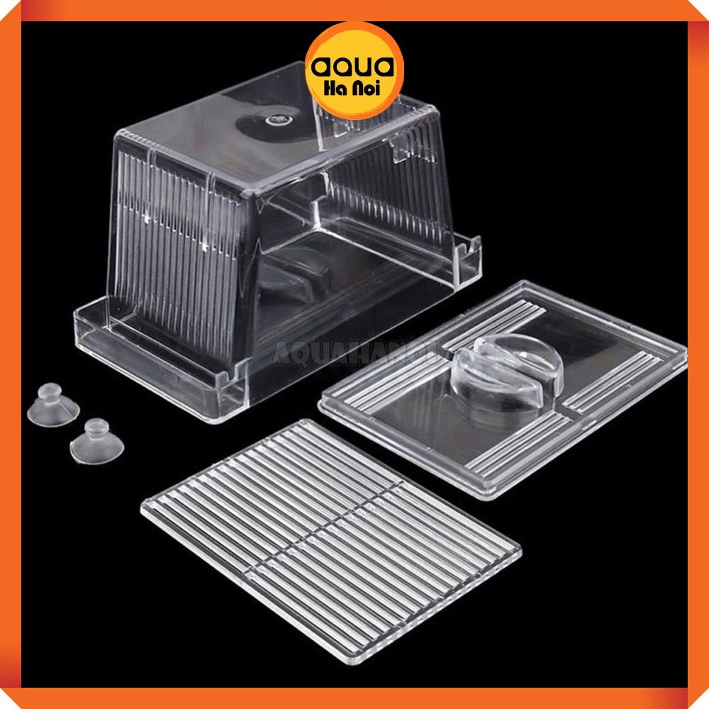 Lồng dưỡng cá tép đẻ mica - cỡ nhỏ 12*7*7 cm - lồng tách cá tép sinh sản - dưỡng cá bệnh - có 2 ngăn cách ly