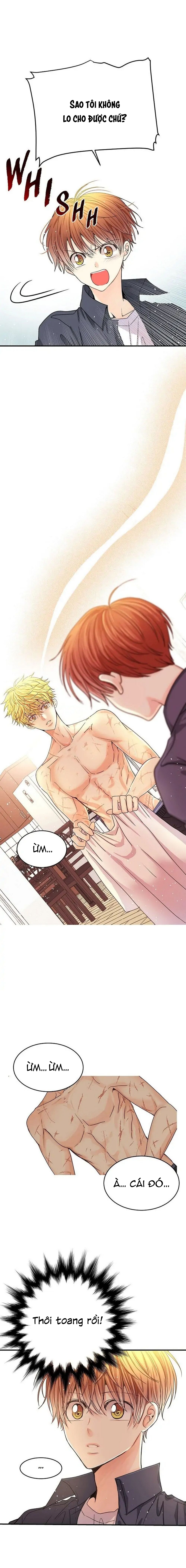 mối quan hệ phù hợp chapter 4 16