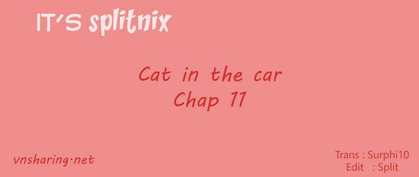 cat in the car chapter 11 1