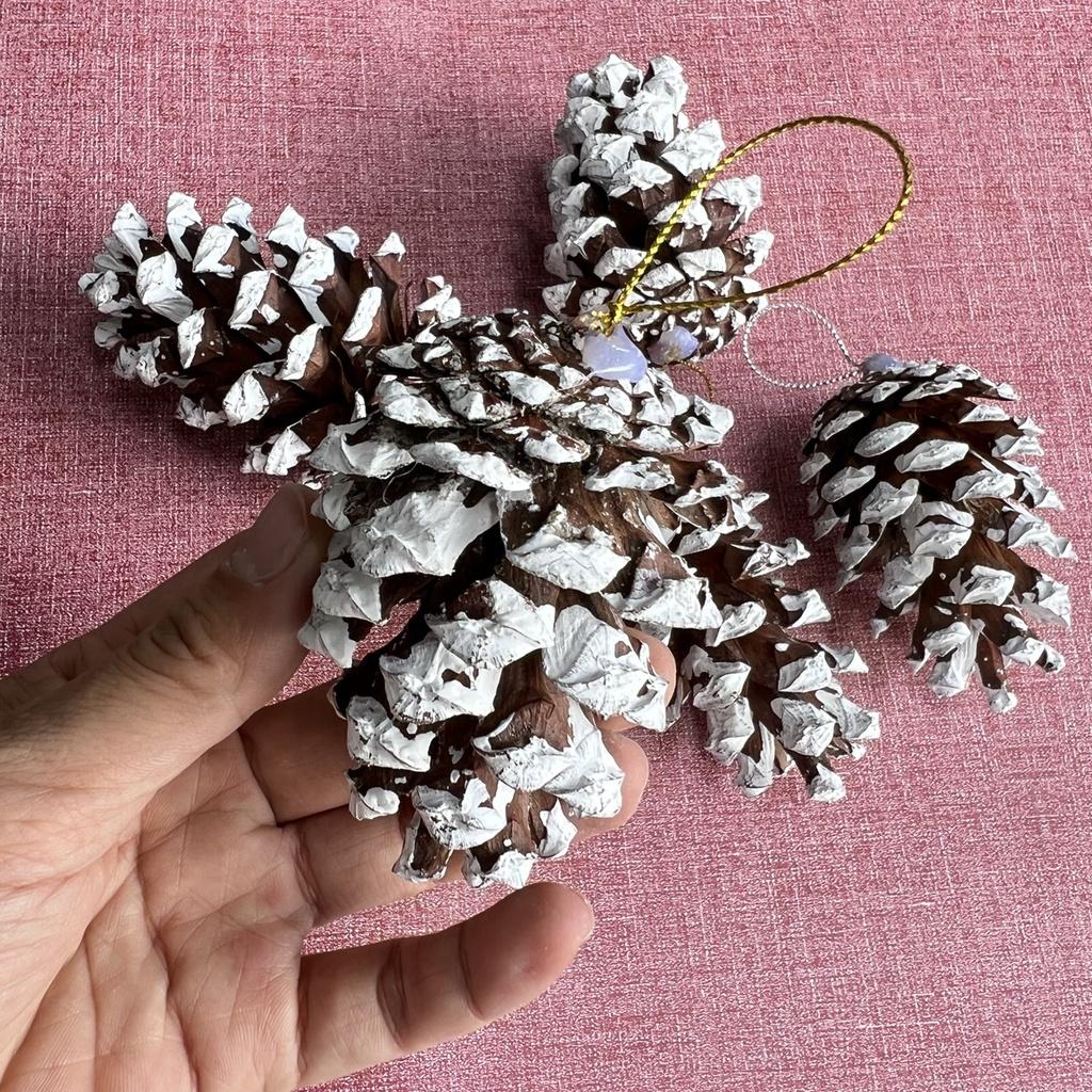 Sỉ 1kg 70 quả thông phủ tuyết decor trang trí Noel làm vòng nguyệt quế Giáng sinh