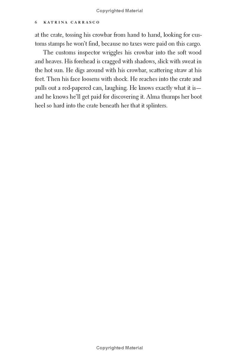 Sách ngoại văn: Rough Trade - A Novel