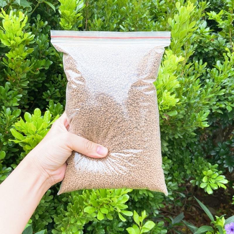 Đất phân nền Akadama trồng sen đá tiểu cảnh terrarium,bể thủy sinh, bonsai loại cứng Size ss,size s triết lẻ