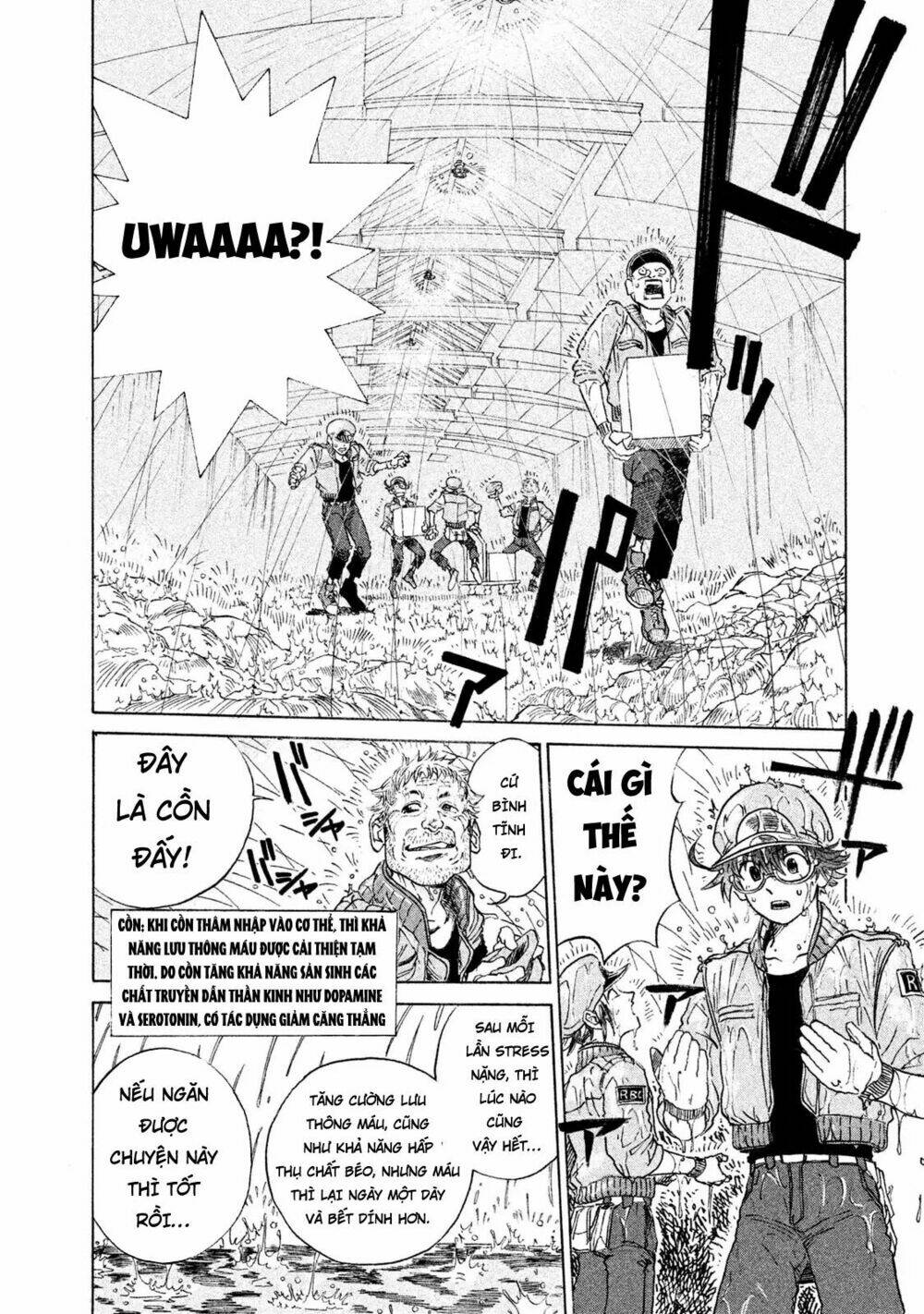 biệt đội tế bào black - hataraku saibou black chapter 2 4