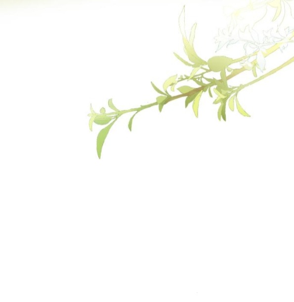 khóc đi hay là cầu xin tôi cũng được chapter 33.1 59