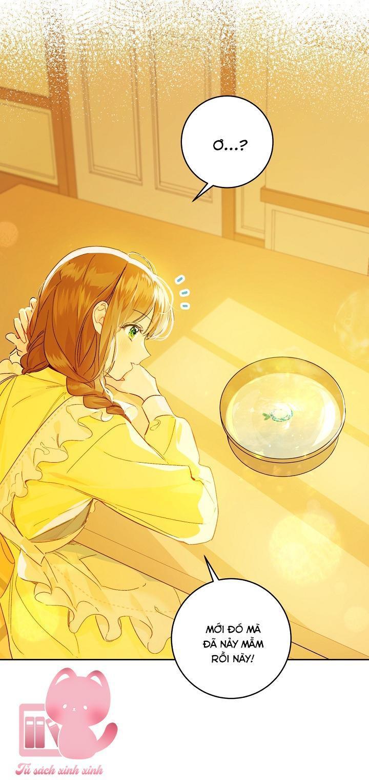 trang trại hạt dẻ cạnh hoàng cung chapter 26 47