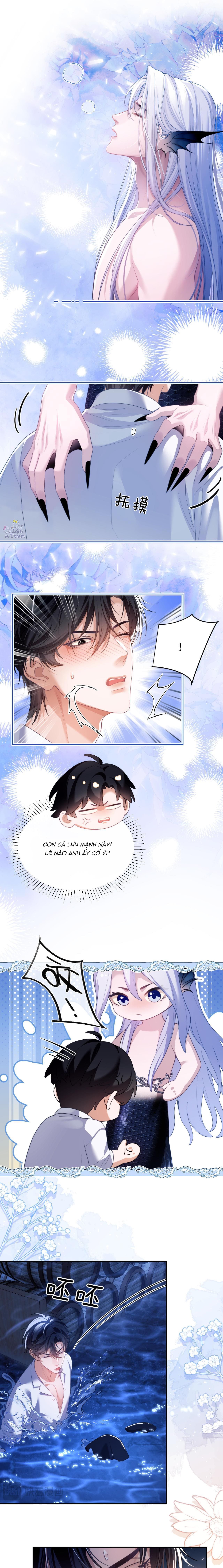 người cá desahrow chapter 27 5