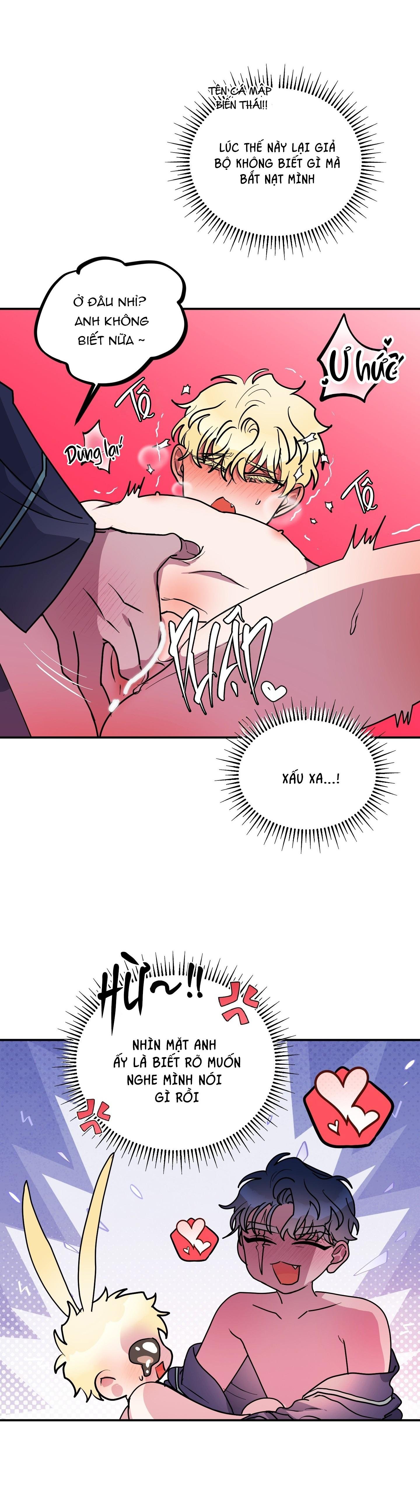 cá mập và cô dâu thỏ chapter 50 4