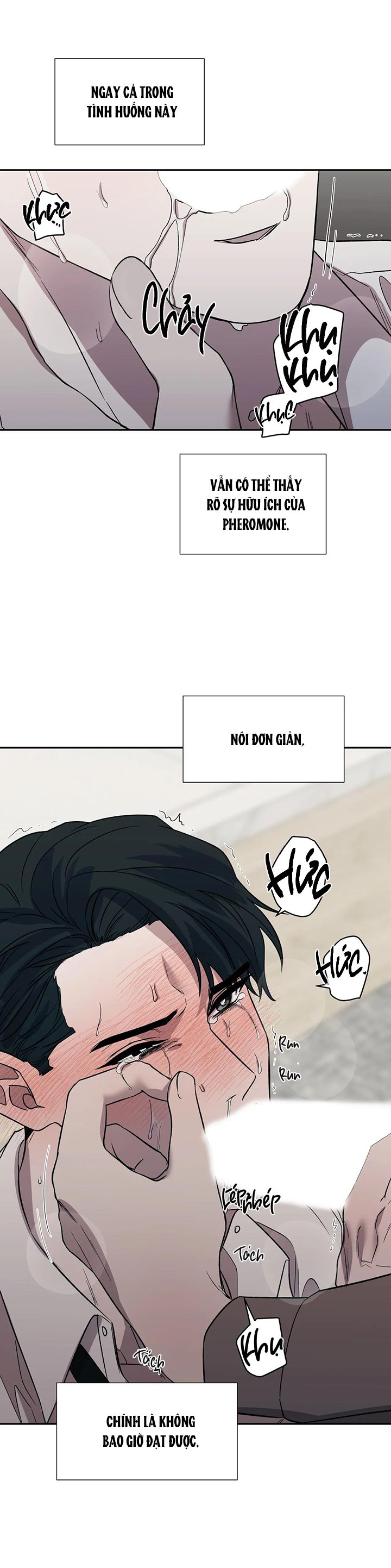 ám ảnh pheromone chapter 22 20