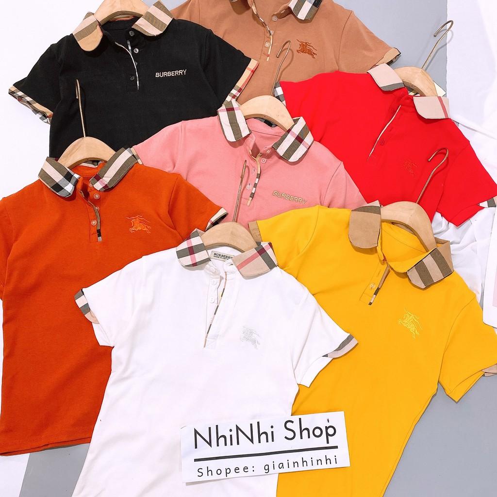 Áo thun cổ bẻ pha kẻ BBR ôm dáng, Áo phông ngắn tay thêu ngựa AS6012 - NhiNhi Shop
