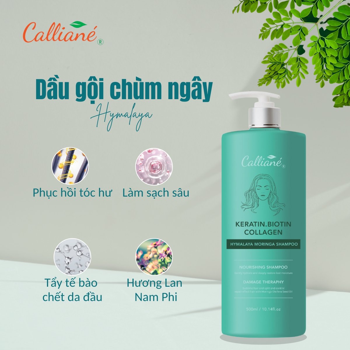 Dầu Gội Chùm Ngây, Keratin, Biotin, Collagen Calliané Hymalaya