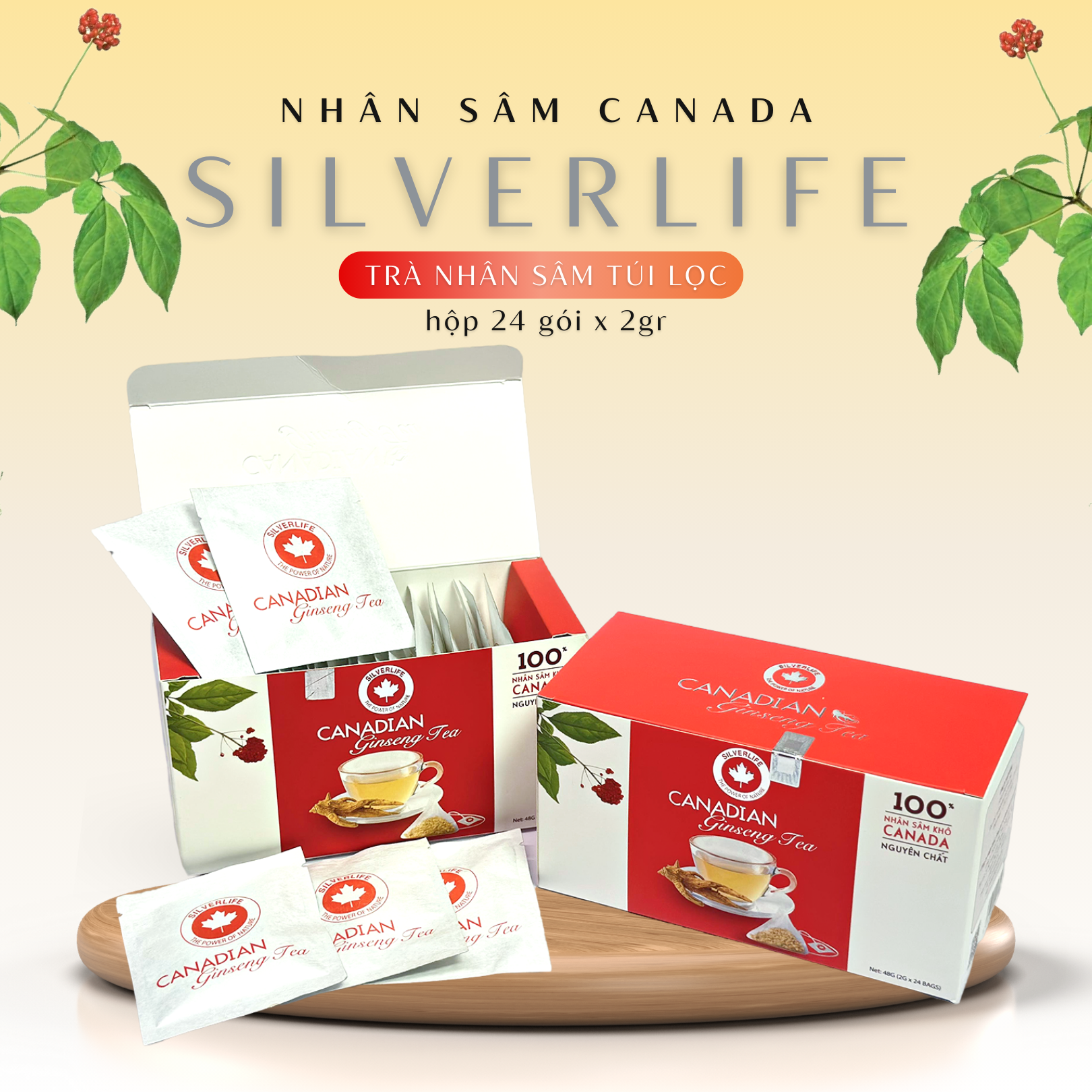 Trà nhân sâm Canada SilverLife hộp 24 gói 48g - 100% nhân sâm Canada tự nhiên nguyên chất - Giúp giải nhiệt, tăng cường sức khoẻ