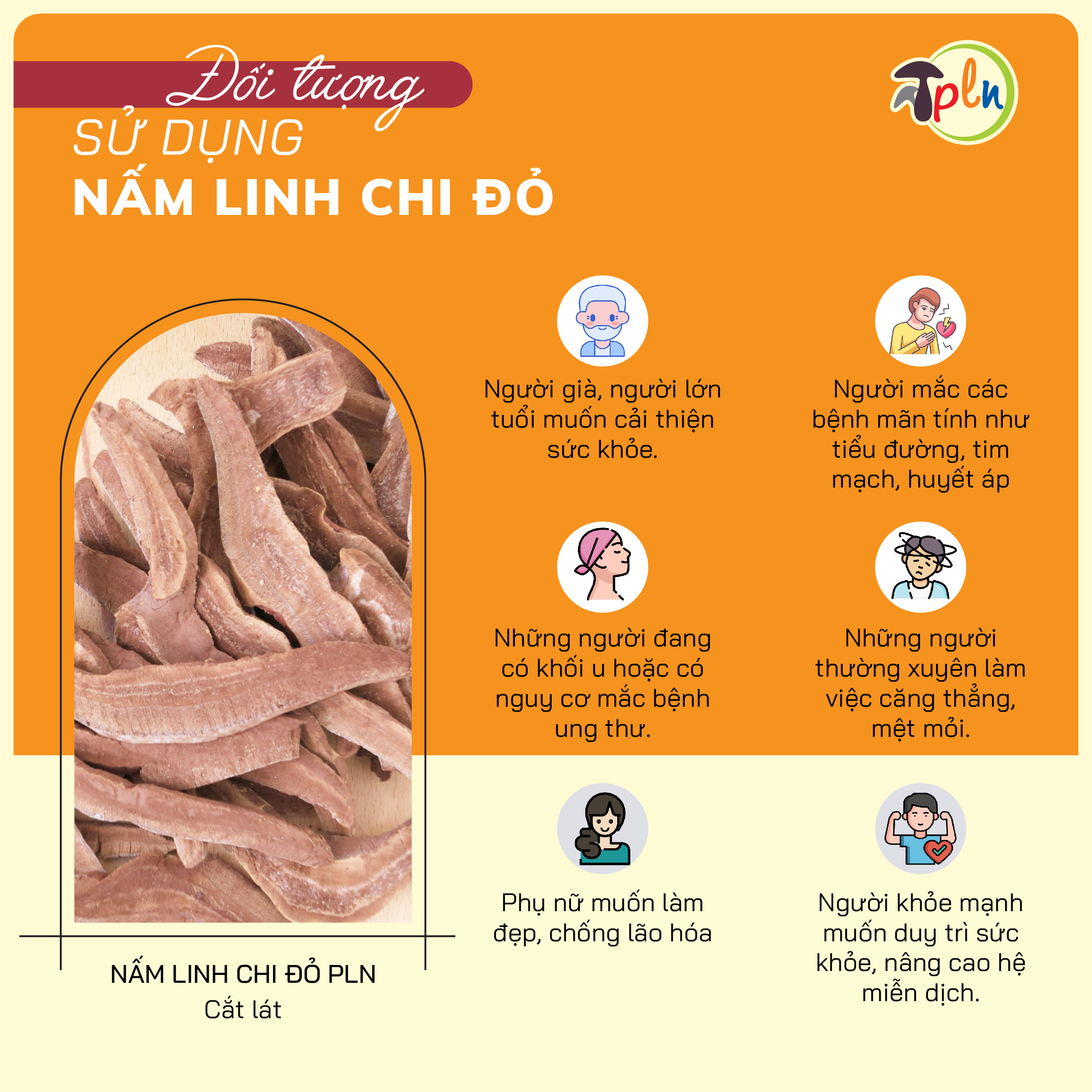 NẤM LINH CHI ĐỎ PLN - Cắt lát. Túi 100g - Xích chi