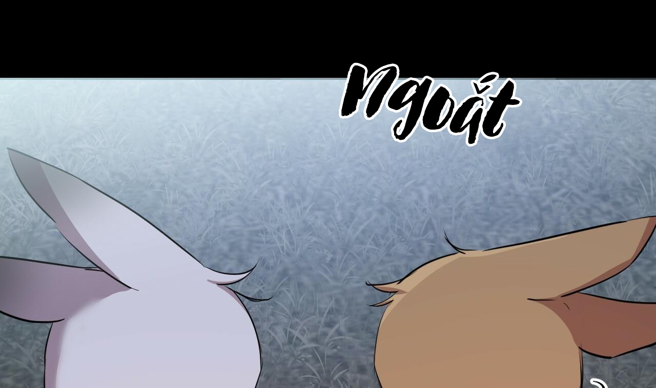 đàn thỏ của habibi chapter 31 247