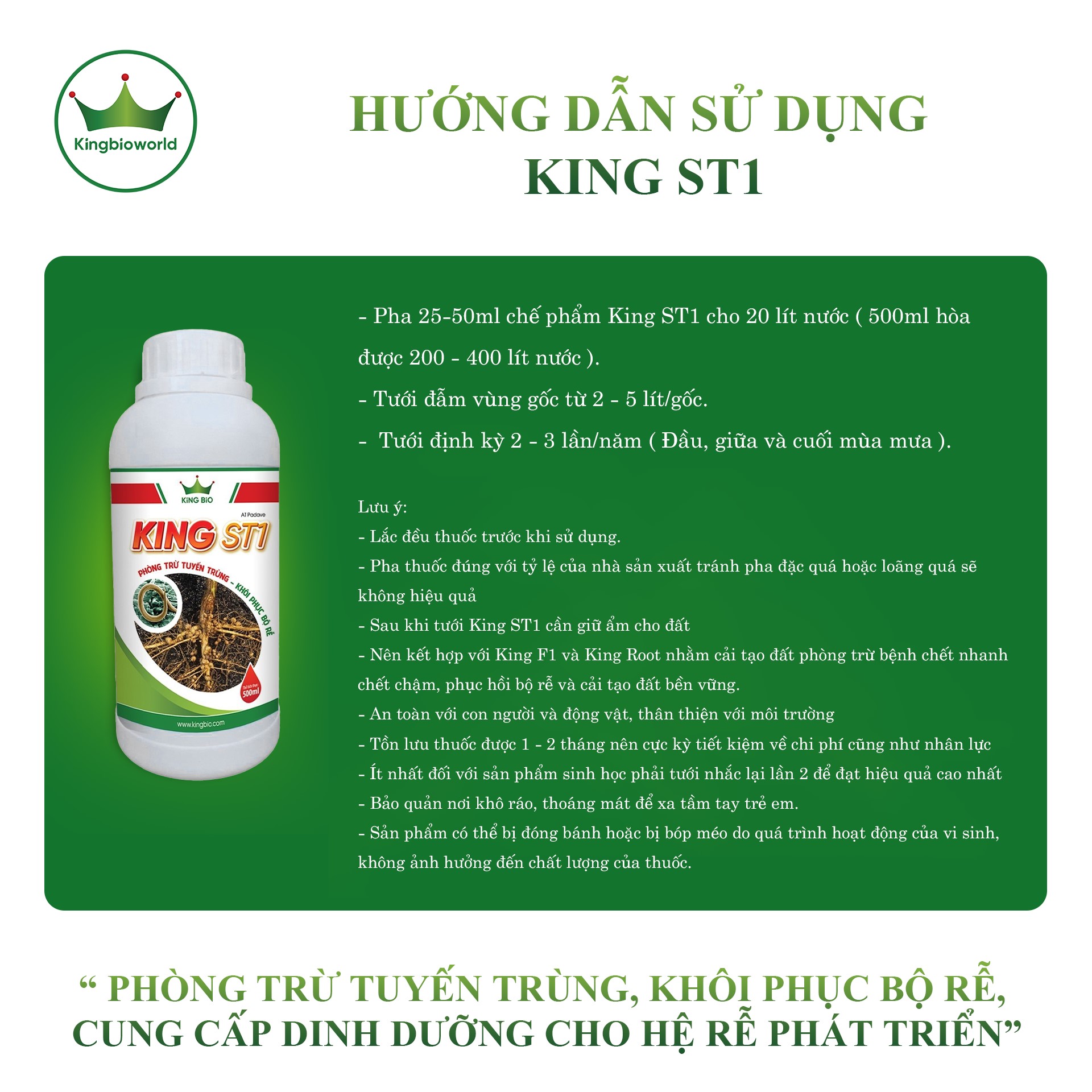 King ST1 - Cải tạo đất, Phòng trừ tuyến trùng, Khôi phục bộ rễ