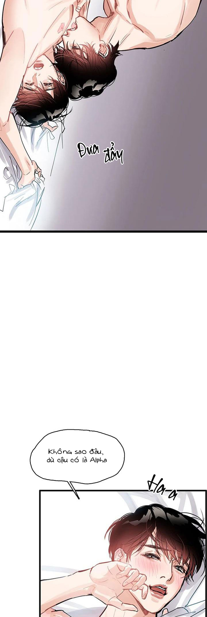 only one chapter 7 21