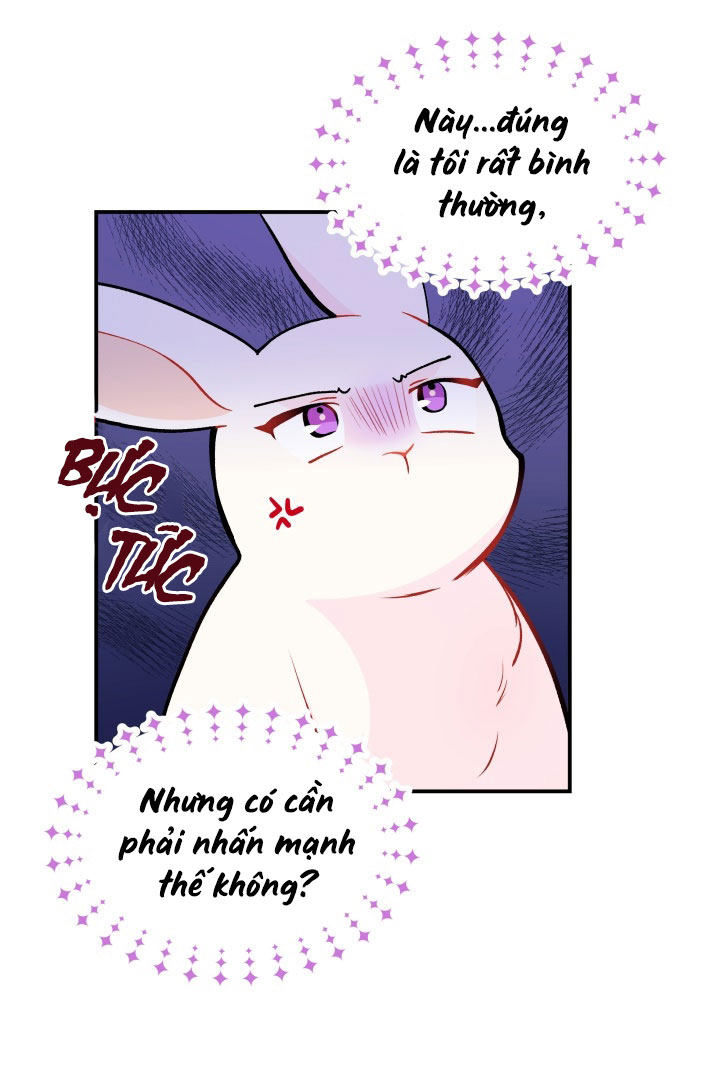 mối liên kết giữa báo đen và bé thỏ chapter 2 51