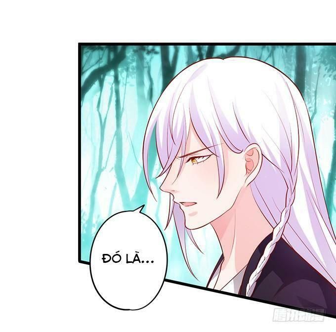 hồ tiên hung bạo chapter 157 65