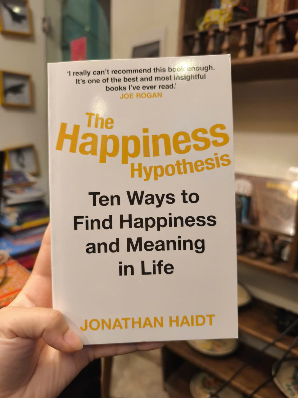 Sách - The Happiness Hypothesis: Ten Ways to Find Happiness &amp; Meaning in Life by Jonathan Haidt / Nonfiction / Self help Book