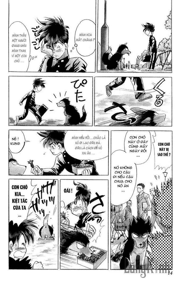 wild half chapter 1 13