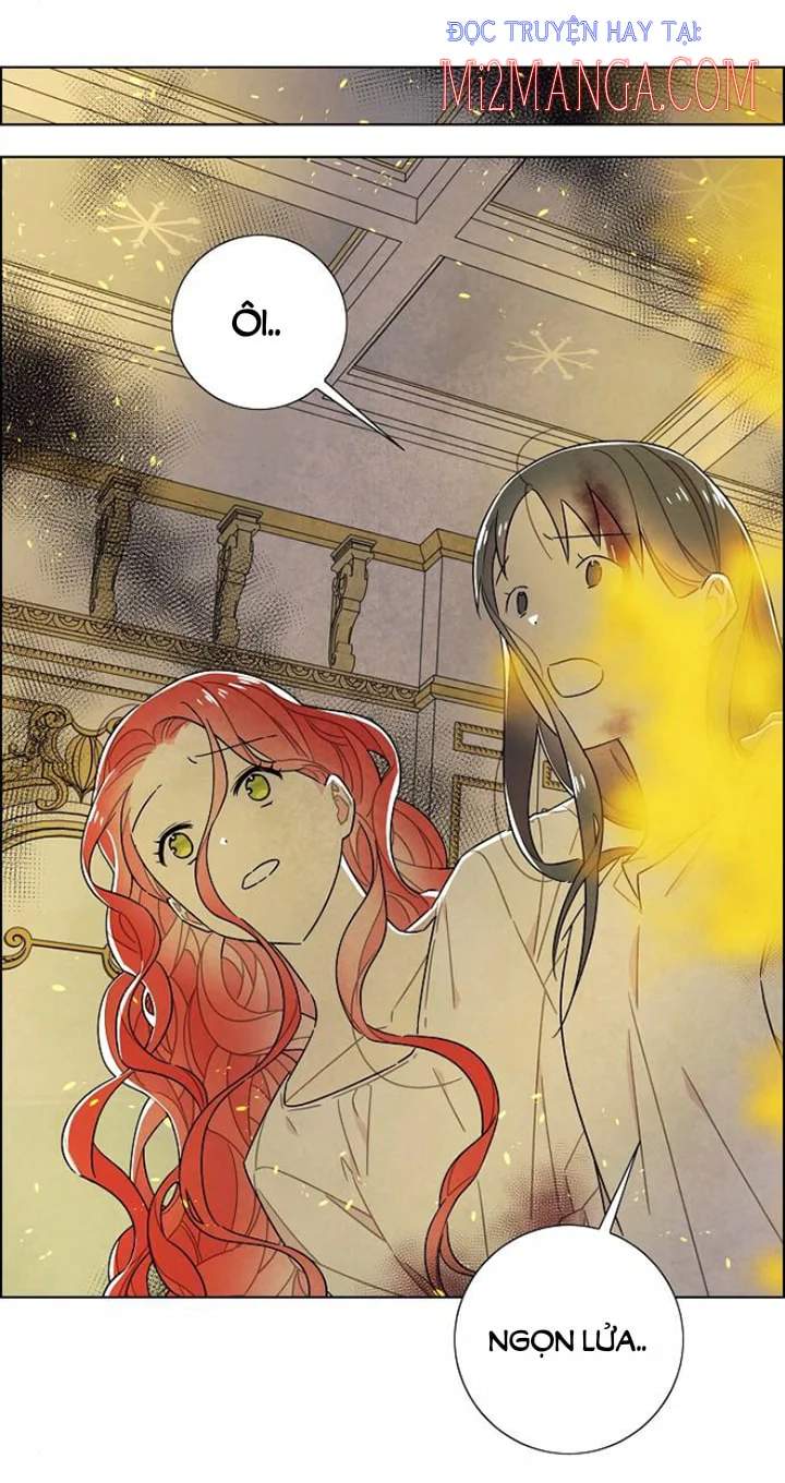 tôi đã cướp mất đêm đầu tiên của nam chính chapter 71.5 24