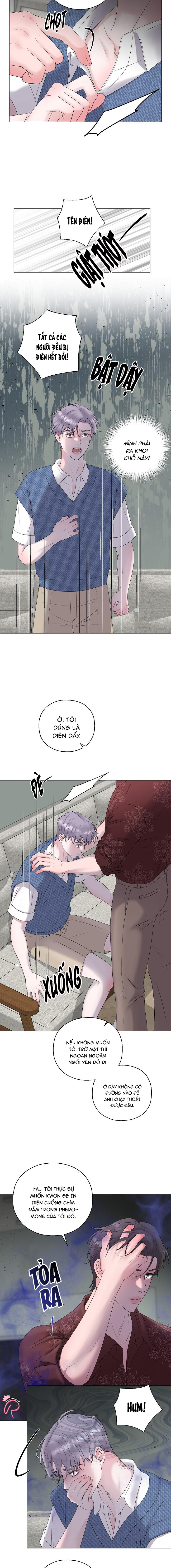 tiền bối của anh chapter 27 6