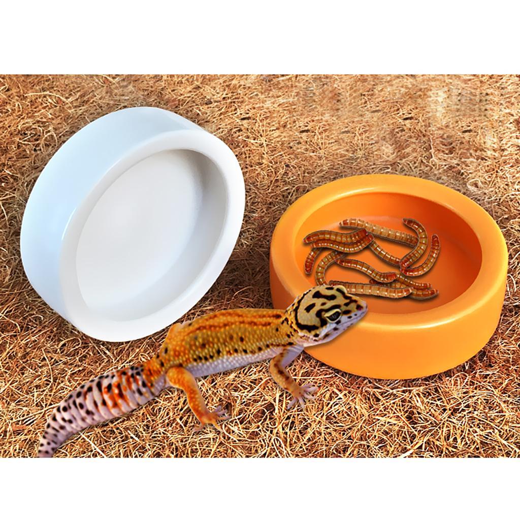 4Pcs Ceramic Reptile Feeding Worm Dish Food Water Bowl for Reptile