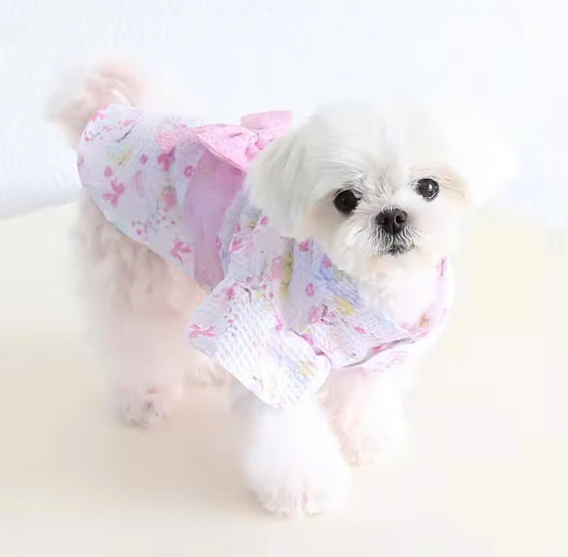 VÁY HỒNG KIỂU NHẬT BẢN SANG TRỌNG TỪ TỪ 0.5-8KG DÀNH CHO CHÓ MÈO