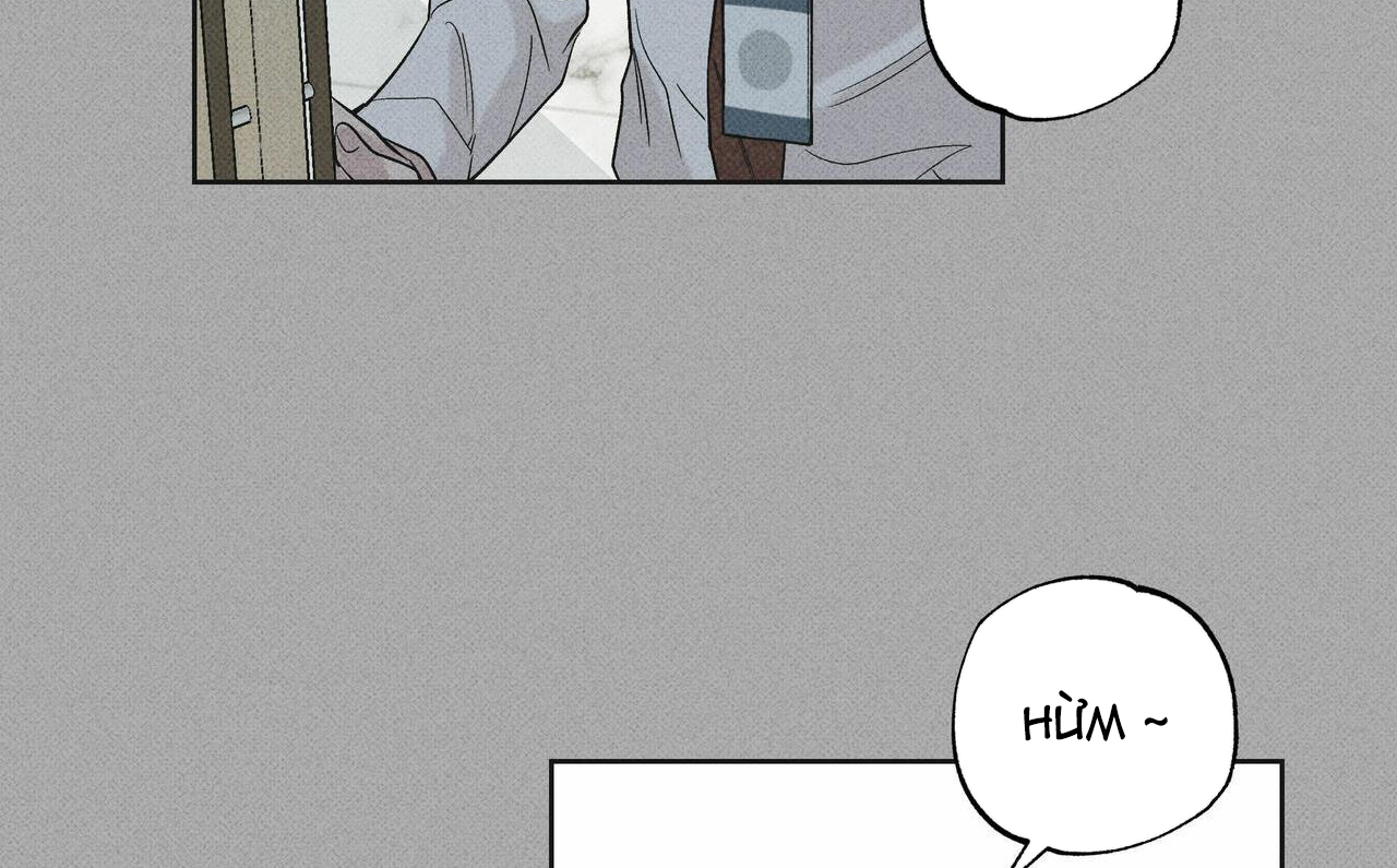 chàng giao pizza và gold palace chapter 33 217