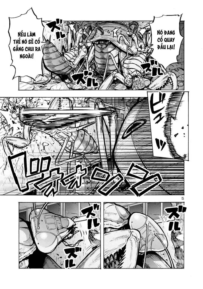 Siêu Đảo Côn Trùng chapter 15.1 5