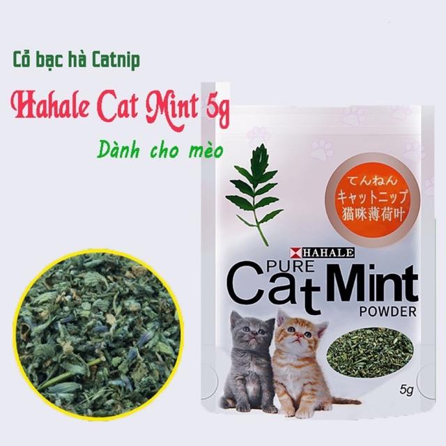 Cỏ bạc hà catnip cho mèo gói 5g