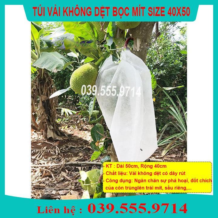 50 CÁI TÚI BỌC MÍT KHÔNG DỆT SIZE 40X50- ĐỘ BỀN CAO