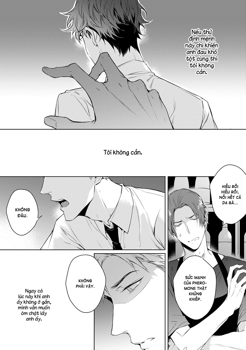 alpha thứ hai chapter 5 15