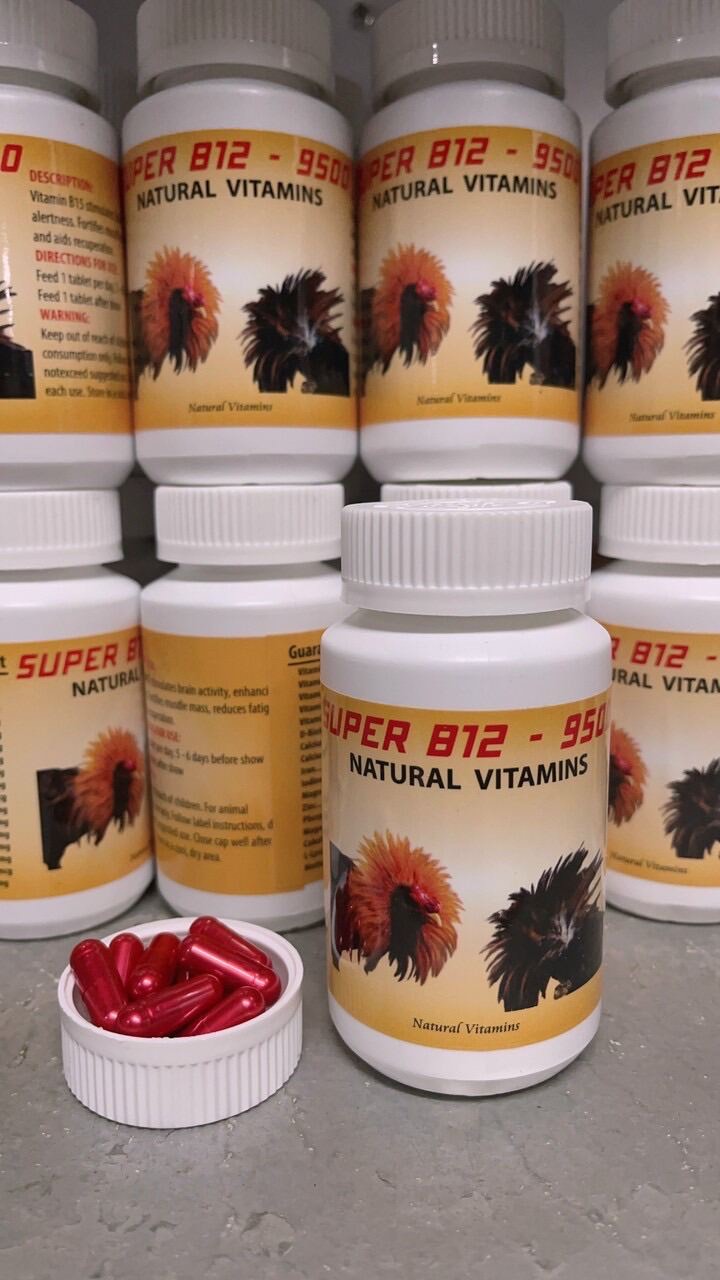 B12_9500 cho gà đá, Gom bo tuần cuối lọ 100viên