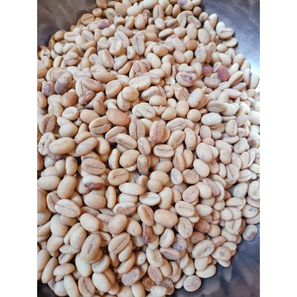 500 gram hạt giống cà phê Thiện Trường