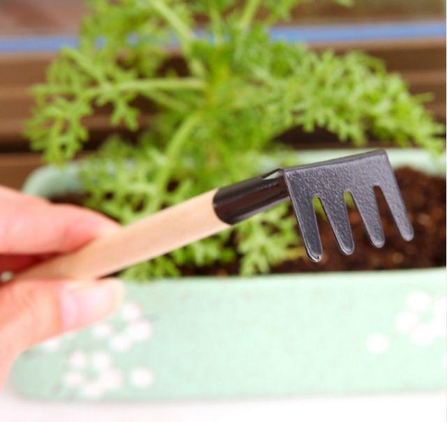 Bộ dụng cụ làm vườn mini