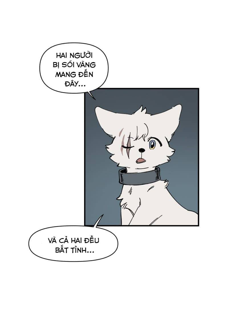 lumine - cội nguồn ánh sáng chapter 143 11