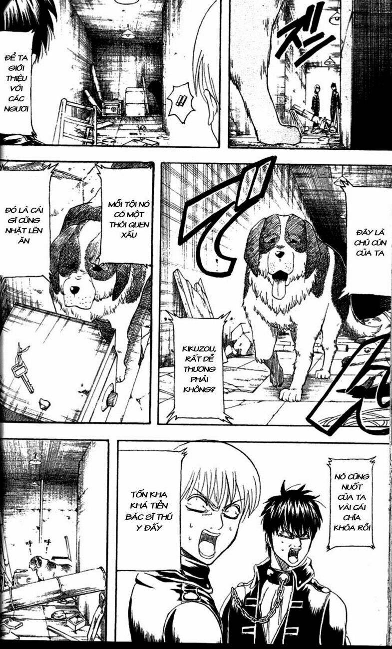 gintama - linh hồn bạc chapter 234 16
