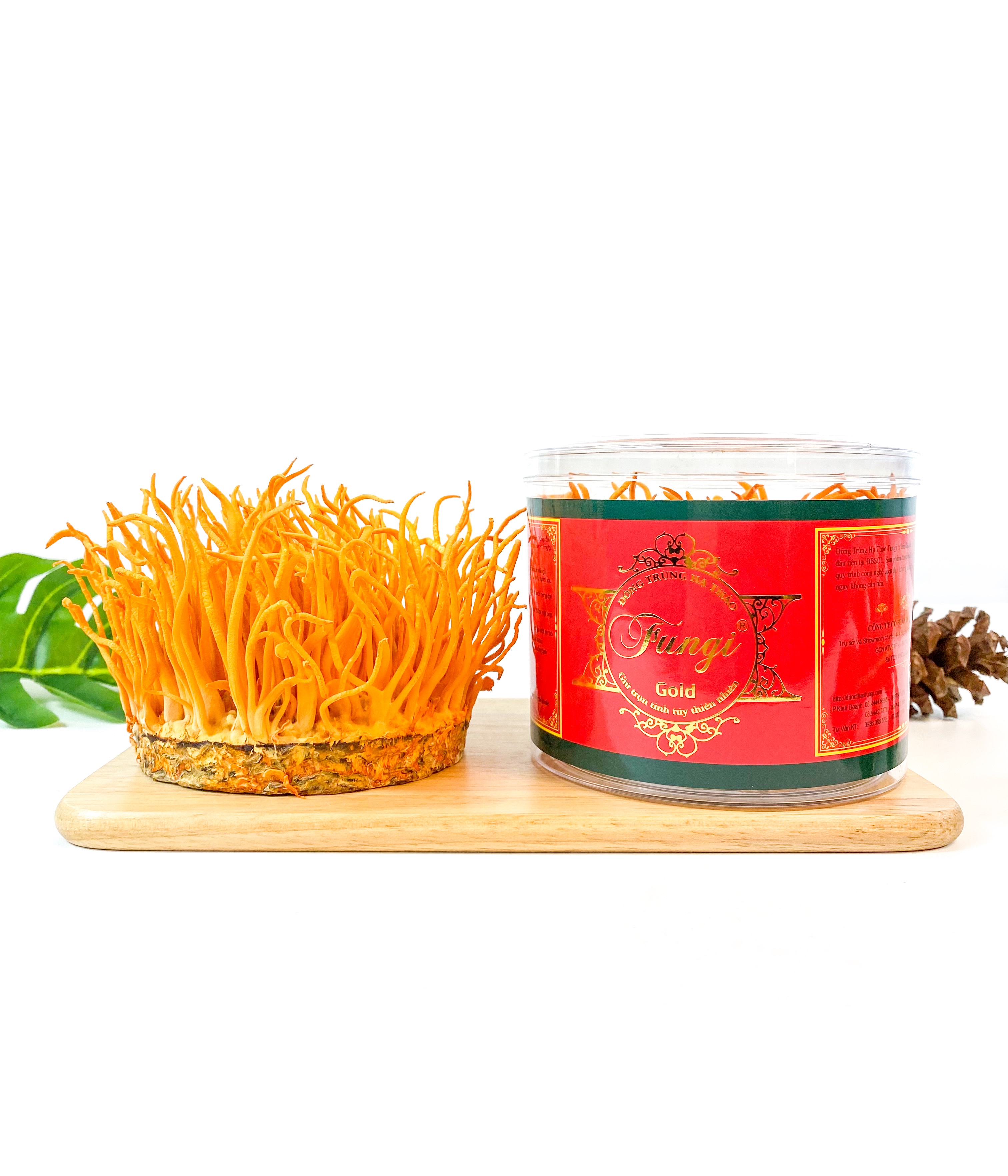 Đông Trùng Hạ Thảo Fungi Tươi 100Gram