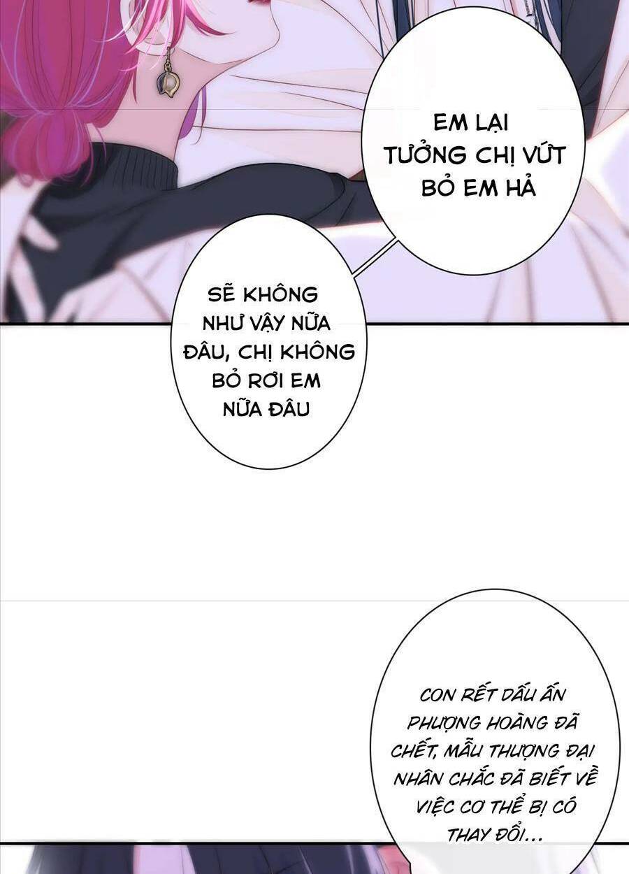 kim ốc tàng kiều chapter 50 30