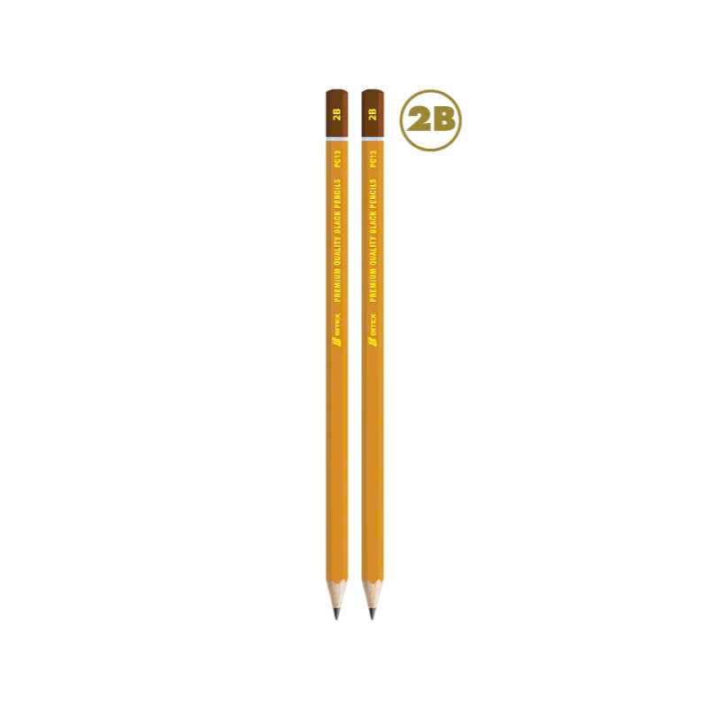 Bút Chì Mỹ Thuật 2B/4B/6B/8B Premium - 1 Cây