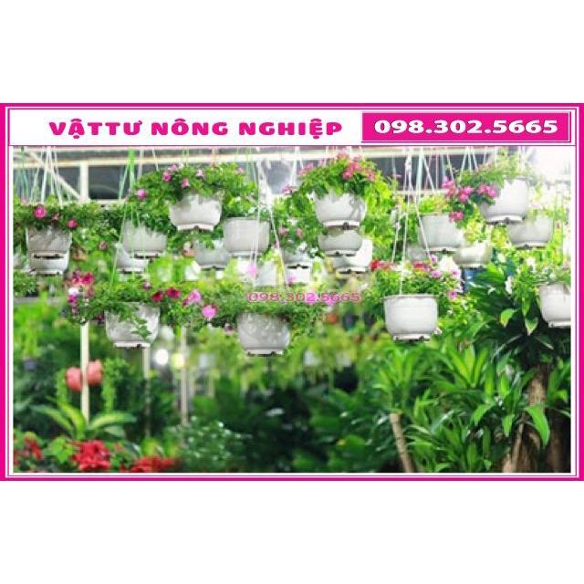 Combo 10 chậu nhựa có dây treo trồng cây và hoa loại rộng 16cm x Cao 12cm