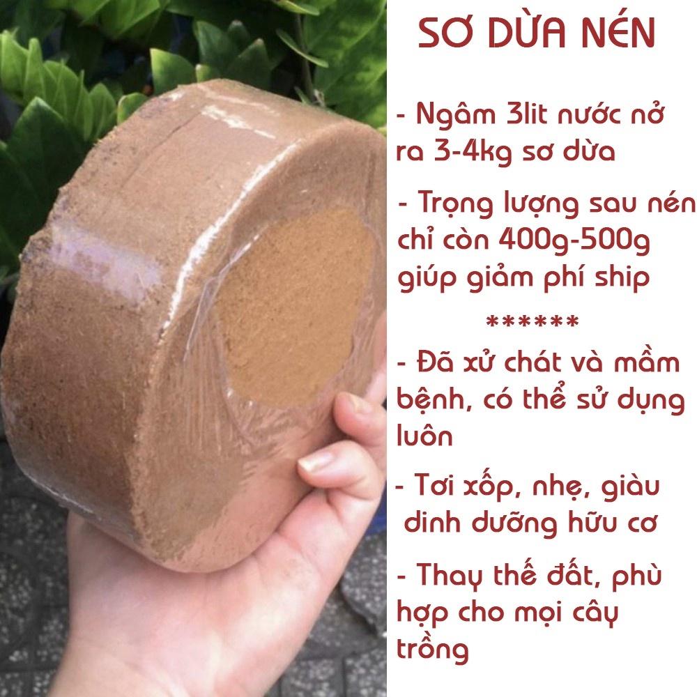 Viên Nén Mùn Dừa Trồng Cây -