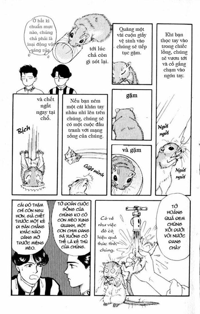 bác sĩ thú y chapter 4 10